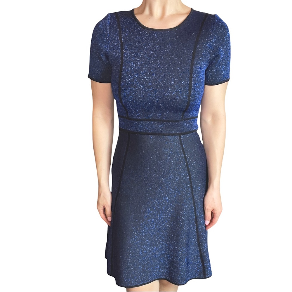 John & Jenn Navy and Black Sparkly Knit Fit & Flare Dress Size Small
